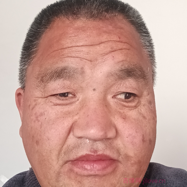 娄底征婚相亲网